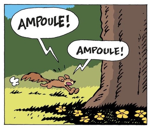 klik om naar alle plaatjes te gaan