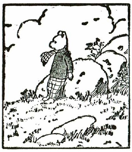 klik om naar alle plaatjes te gaan